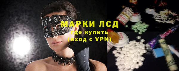 прущий лед Алзамай