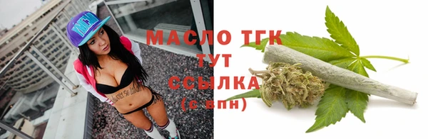 прущие грибы Аркадак