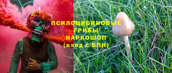 прущие грибы Аркадак