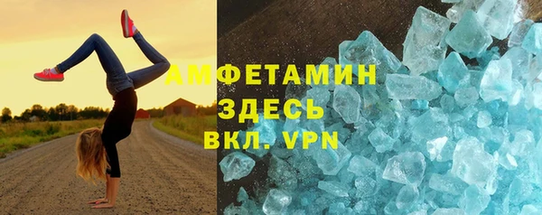 прущие грибы Аркадак
