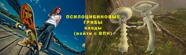 прущий лед Алзамай